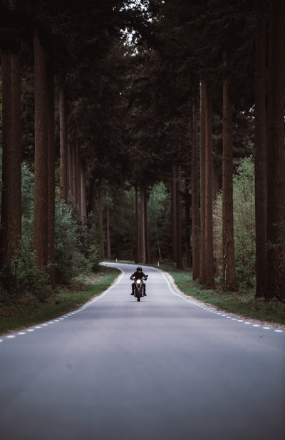 男子骑黑色摩托车道路之间的森林
